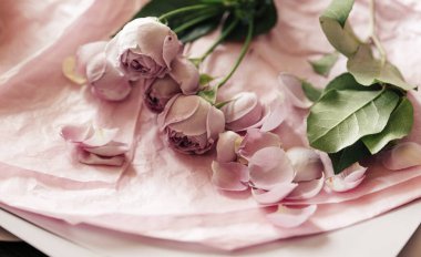 Beyaz arka planda yeşil yapraklı güzel pembe çiçeklerin manzarası