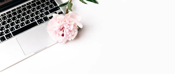 kahve, çiçek ve dizüstü bilgisayarlı flay kavramı