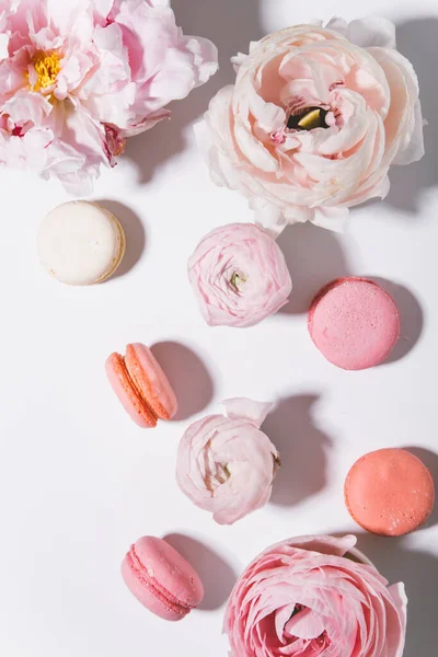 Pioenrozen Bloemen Met Macarons Witte Achtergrond Bovenaanzicht — Stockfoto