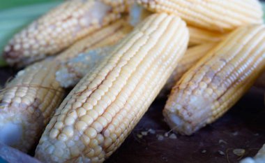 Koçanda taze organik sarı mısır. Organik ve sağlıklı yiyecekler..