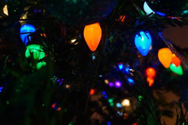 Noel kutlamaları boyunca süsleri ve ışıkları olan Noel ağacı..