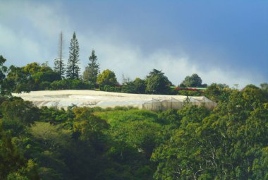 Uzakta bitki ve sebze yetiştirmek için büyük bir serayı çevreleyen yaz manzarası