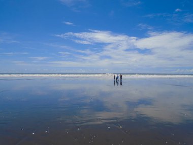 İnsanlar sahilde yürüyor.