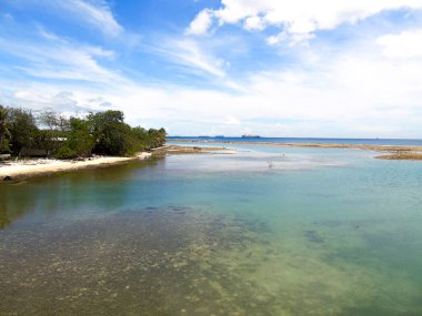 Galeta Adası, Coln, Panama 'da mavi gökyüzü ve yeşil ağaçlarla kıyı manzarası