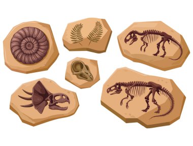 Cartoon vector illustration fossil dig set dried soil with dinosaur sea animal foliage archeology paleontology ancient stone concept educational artwork