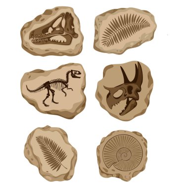 Fossil dig set dried soil collection silhouettes of dinosaurs sea animals and foliage archeology paleontology ancient stone cartoon vector illustration