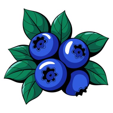 Vector illustration blueberry with leaves sweet juicy berry natural organic healthy eating product flat cartoon style for poster or banner design