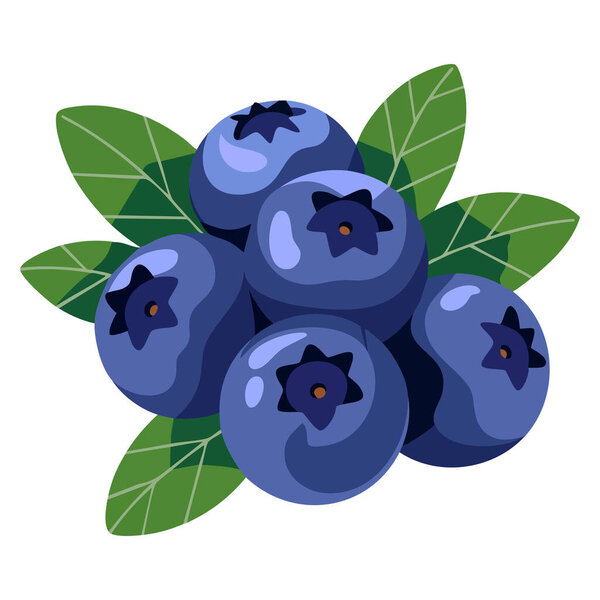 Blueberry with leaves concept sweet and juicy berry natural organic product healthy eating vitamins poster or banner cartoon flat vector illustration