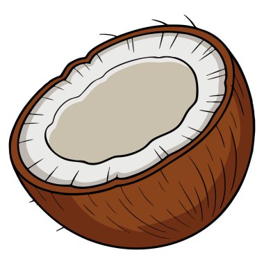 Hindistan cevizi meyvesi çizimi, tropikal gıda tasarımı için beyaz üzerine izole edilmiş yaz temalı organik içecek veya doğal sağlıklı ürün yaratıcı sanat eseri.