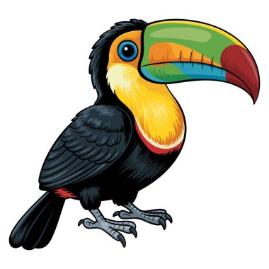 Beyaz arka planda izole edilmiş şirin tukan çizimi tropikal kuş çizgi film karakteri vahşi yaşam çizimi ve eğlenceli hayvan temalı tasarım için mükemmel.