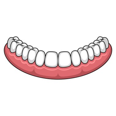 Beyaz arkaplan vektör illüstrasyonunda izole edilmiş çarpık dişli insan alt çene sakızı diş eğitimi ortodontik oral sağlık tasarımı temaları için idealdir