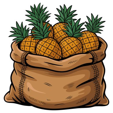 Beyaz zemin üzerinde bir çuval ananas resmi izole edilmiş tasarım elementi tropikal meyve ambalajı yemek veya mutfak sanatı için mükemmel.
