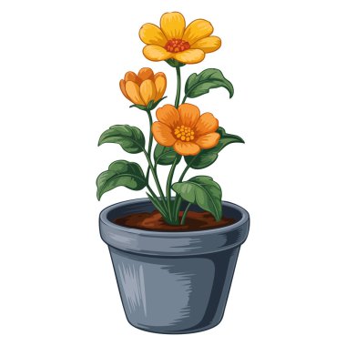 Beyaz arka planda izole ot çizimi ev dekorasyonu, ev dekorasyonu, bahçe işleri, doğa, botanik veya yaratıcı bitki temalı vektör çizimleri için mükemmeldir.