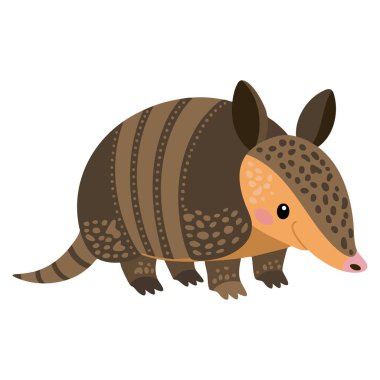 Beyaz arka planda izole edilmiş armadillo vektör illüstrasyonu vahşi yaşam için ideal çöl doğası veya eğitici yaratıcı sanat tasarımı