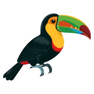 Vahşi yaşam çizgi filmi tropikal kuş karakteri oyuncu ve anlamlı tasarım grafikleri için beyaz zemin üzerinde şirin tukanların vektör illüstrasyonuName