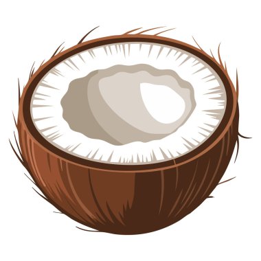Meyve hindistan cevizinin vektör çizimi tropik yaz içeceği yiyecek etiketi veya doğal organik temalı yaratıcı sanat eseri için ideal tasarım.