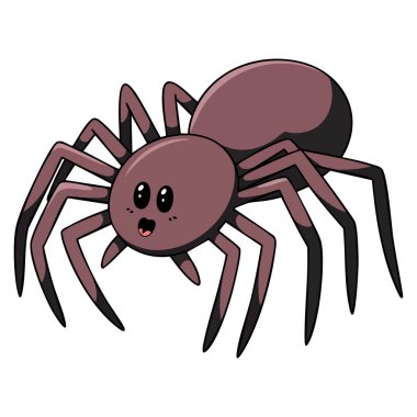 Beyaz arka planda izole edilmiş yabani örümceğin vektör çizimi ürkütücü vahşi yaşam için uygundur ya da eklembacaklı eğitim tasarımları