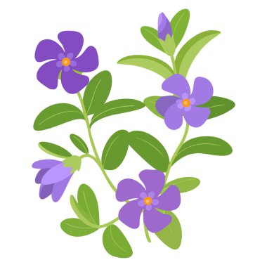 Detaylı el çizimi menekşe çiçeği illüstrasyonu doğaya uygun botanik bahçe dekorasyonu çiçek deseni ve bitki temalı yaratıcı sanat eserleri