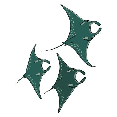 Düz vatozlu aile vektörü illüstrasyon deniz hayvanları beyaz arka planda izole edilmiş şirin deniz yaşamı sanat eserleri ve sualtı karakter temaları için ideal