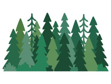Green fir tree as rural landscape element vector illustration perfect for nature scenery background environmental design or outdoor themed artwork