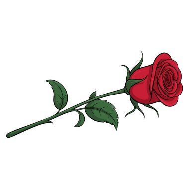 Çiçeksel sanat eserleri, botanik tasarım veya dekoratif görsel temalar için ideal beyaz arkaplan üzerine çizilmiş bir gülün tasviri