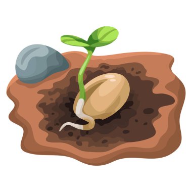 Büyüme kavramları için doğal vektör tarzında dizayn edilmiş bir tohum tasviri eko temaları organik markalaştırma sanat eserleri veya botanik görseller