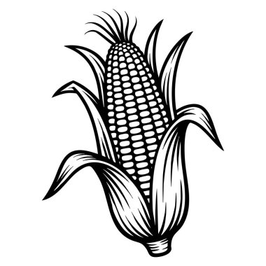 Doğal ve organik ürün tahıl kesimi mısır ikonu sağlıklı gıda vejetaryenliği tarım hasat çiftliği çıkartması logo çizgi film düz vektör çizimi dijital kullanım için