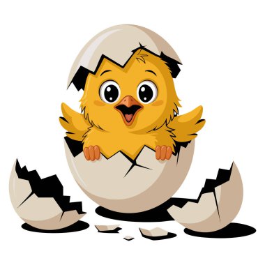 Kırık yumurta kabuğu çizimi içinde yeni doğmuş sarı tavuk. Çiftlik hayvanı çizgi filmi hikayesi ya da çocukların eğitim temalı sanat eserleri için ideal emoji karakteri.