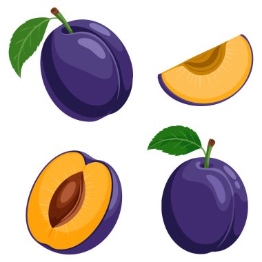 Soyut vektör illüstrasyon logosu. Olgun erik, yeşil yaprak kesimi. Etiket etiketine uygun kesilmiş arkaplan.