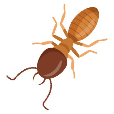 Termit zararlı böcek kontrol vektör ilüstrasyonu beyaz arka planda izole edilmiş imha, önleme ve böcek farkındalığı temalı tasarım için mükemmel