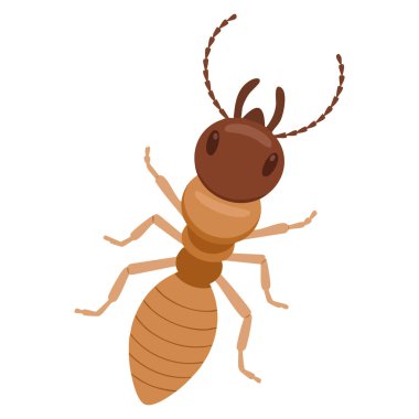 Termit vektör illüstrasyonu zararlı böcek ve haşere kontrolünü temsil ediyor. İmha, önleme ve farkındalık temalı tasarım projeleri için mükemmel.