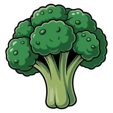Sebze doğası teması yiyecek sanatı, sağlıklı beslenme ya da organik tasarım kavramları için uygun beyaz arka planda izole edilmiş taze brokolinin vektör çizimi