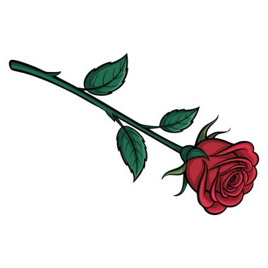 Çiçek dekorasyonu, romantik botanik temalar veya zarif dekoratif yaratıcı kullanım için uygun beyaz arkaplandaki gülün vektör çizimi