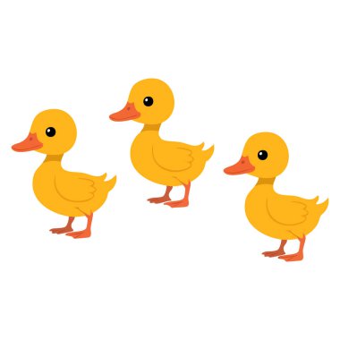 Sıraya dizilmiş üç çizgi film ördek yavrusunun vektör çizimi. Çocuklar için mükemmel sevimli karakterler. Eğitici tasarım, eğlenceli hayvan resimleri ya da poster resimleri.