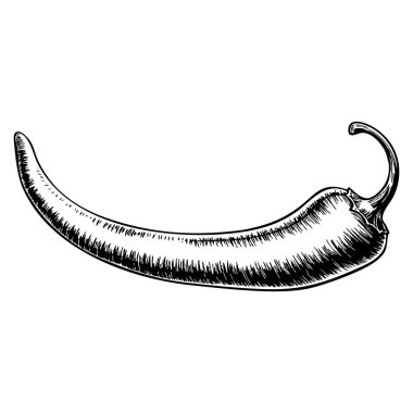 Yemek tasarımı ambalaj restoranı menüsü veya organik ürünler için uygun olan el yapımı kırmızı biber çizimi vektör çizimi seti