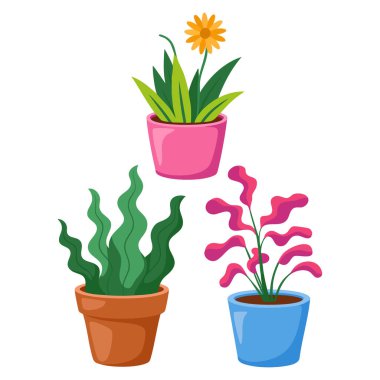 Vektör illüstrasyonu basit minimalist saksı bitkisi seti beyaz arka planda izole edilmiş modern temiz botanik dekoru kapalı alanda yeşillik ve bitki temalı sanat eserlerini gösteriyor