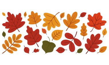 Mevsimsel dekorasyon için mükemmel vektör grafikleri olarak gösterilen sonbahar yaprakları temalı arka planlar ve tasarımlar çizer.