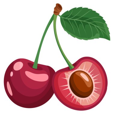 Çizgi film vektör grafikleri, meyve tasarımı için ideal kirazların iki yarısını, neşeli sanat eserlerini ve renkli mevsimsel görselleri gösteriyor.
