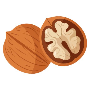 Sağlıklı gıda tasarımı için ideal ceviz tasarımı besin konseptinin düz clipart vektör çizimi organik market markalaşması ve doğal malzeme temalı projeler