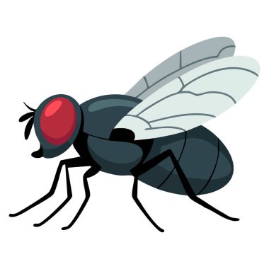 Böcek vektör illüstrasyonunu uçur doğa zararlı biyoloji entomoloji hayvan detayları ve çevre temalı tasarım projeleri için uygun