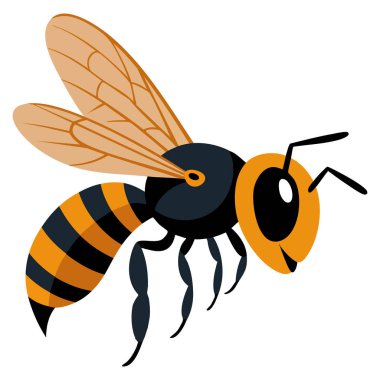Beyaz arka plandaki eşek arısı çizimi vahşi yaşam tehlike uyarısı veya böcek bilimi temalı tasarımlar için uygun böcek resimleri