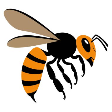 Beyaz arka planda izole edilmiş eşekarısı tasviri böcek doğasını ve potansiyel tehlike kavramını temsil ediyor.