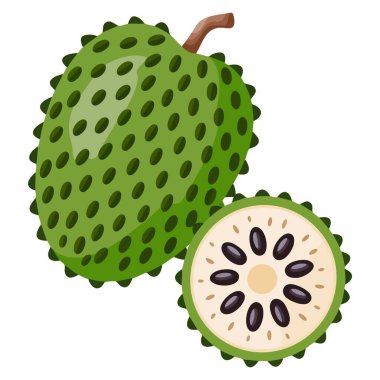 Gıda posterlerinin ambalajlanması için ideal beslenme konseptine odaklanan kaynak suyu meyvesi tasarımı botanik tasarım ve meyve temalı görseller