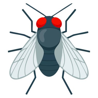Böcek sineği vektör illüstrasyonu çevresel doğa biyolojisi haşere konsepti ve hayvan detayı odaklı tasarım kullanımı için mükemmeldir.