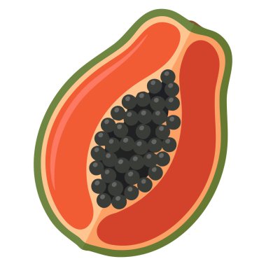 Papaya meyve simgesi besin uygulamaları ve sağlıklı yaşam tarzı görselleri için beyaz arka planda izole edilmiş düz vektör tarzıyla gösterilmiştir.