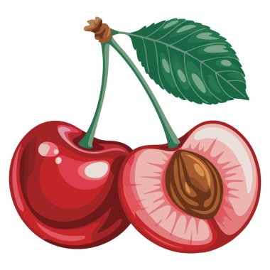Yaz kirazı iki parçaya bölünmüş karikatür vektör grafikleri çizimi meyve temalı gıda görsel paketleme dekorasyonu ve oyuncu yaratıcı sanat eserleri için mükemmeldir