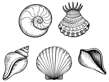 Deniz kabuklarından oluşan vektör grafikleri siluetler ve pullar plaj okyanusu dekorasyonu yaz dekorasyonu ve deniz kenarı temalı sanat eserleri için mükemmel.