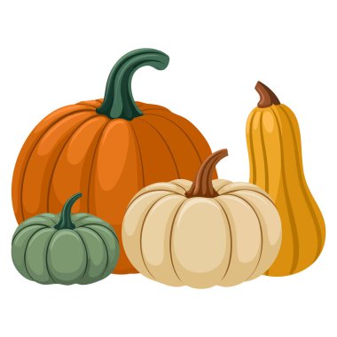 Sonbahar mevsimi ve hasat kutlamaları için izole edilmiş çeşitli renkli balkabaklarıyla dolu verimli sonbahar hasadının vektör çizimi