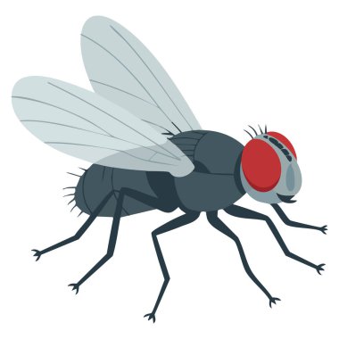 Böceklerin vektör çizimi doğa biyolojisi zararlı hayvan deneyleri ve bilimsel temalı grafikler için ideal.