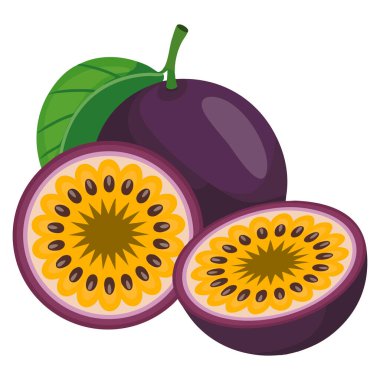 Mor çarkıfelek meyvesinin vektör çizimi. Beyaz arka planda düz dizayn edilmiş yarım parçalar. Sağlıklı yiyecekler, tropikal meyve besinleri ve taze malzemeler için uygun.
